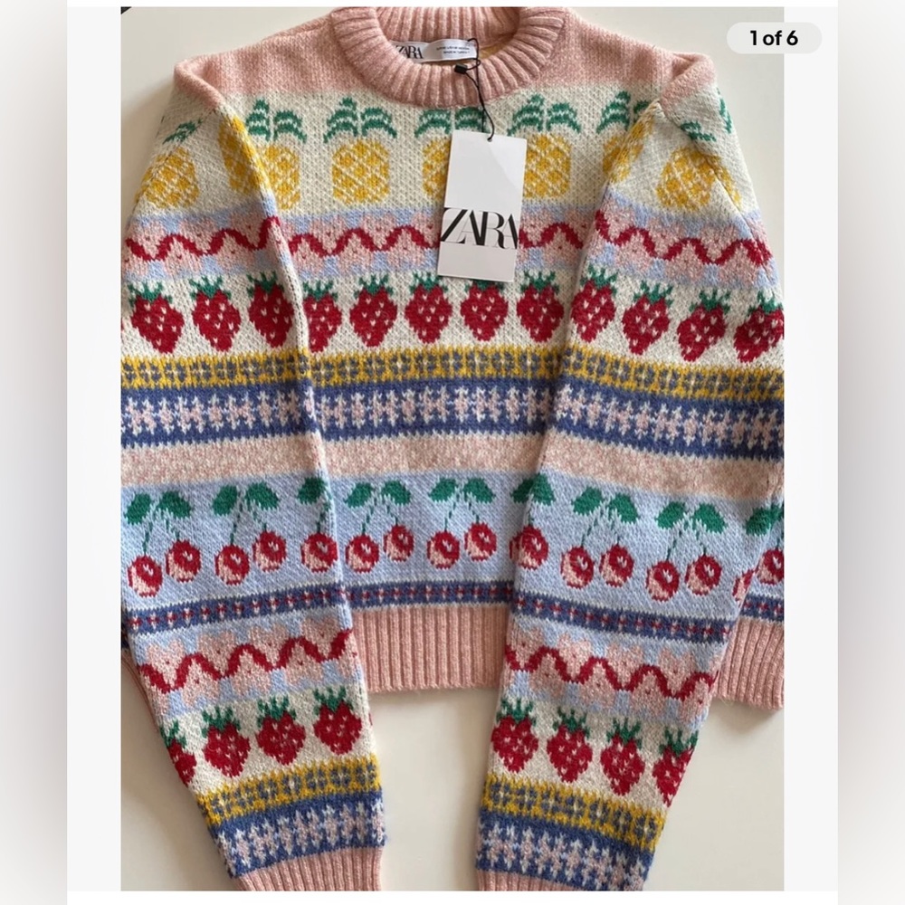 Zara large fruit 🍉 pullover sweater large Nwt